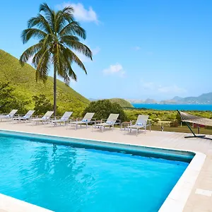 Mount Nevis