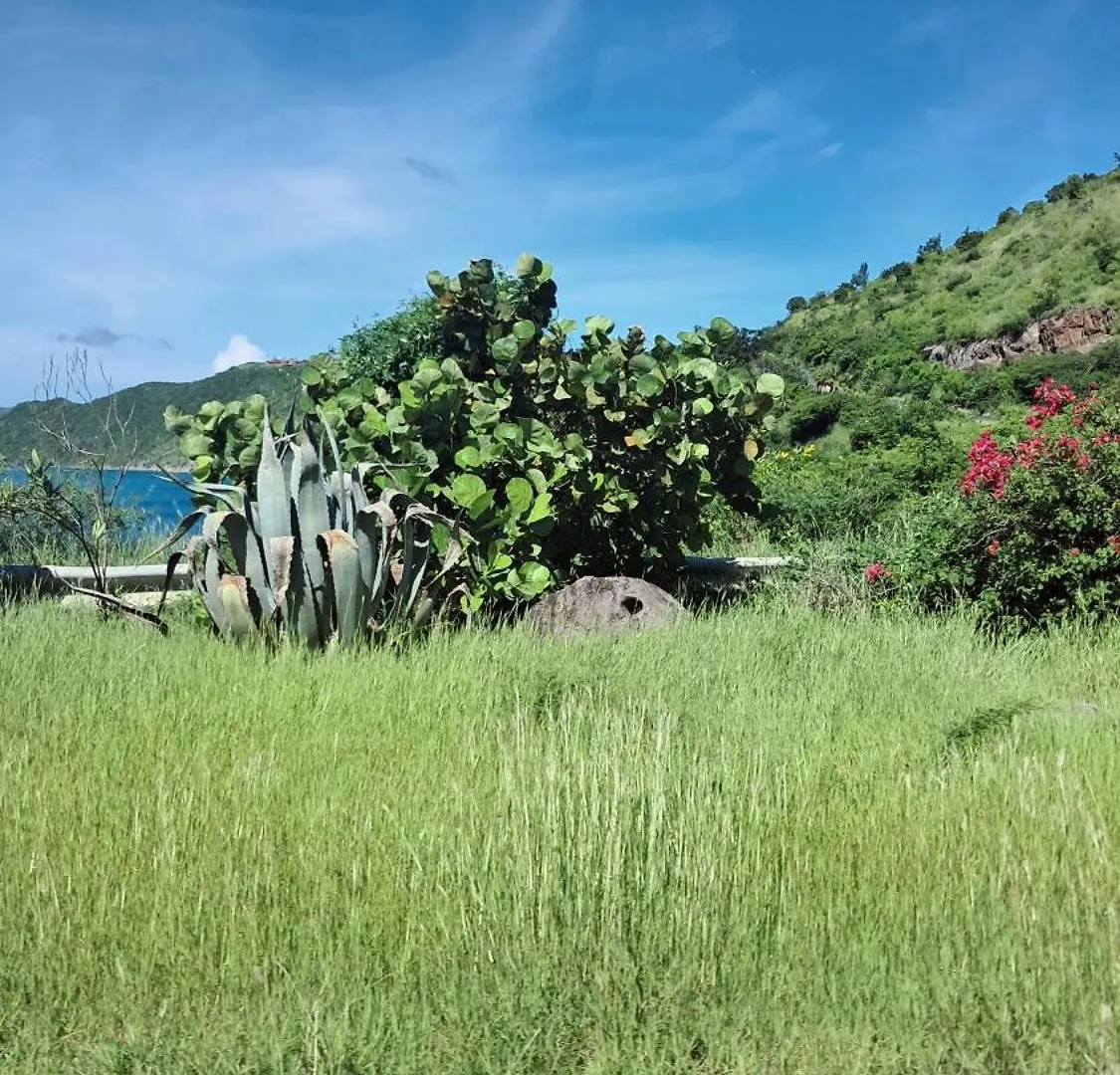 Luna'S Castle Nevis 0*,  Saint Kitts és Nevis